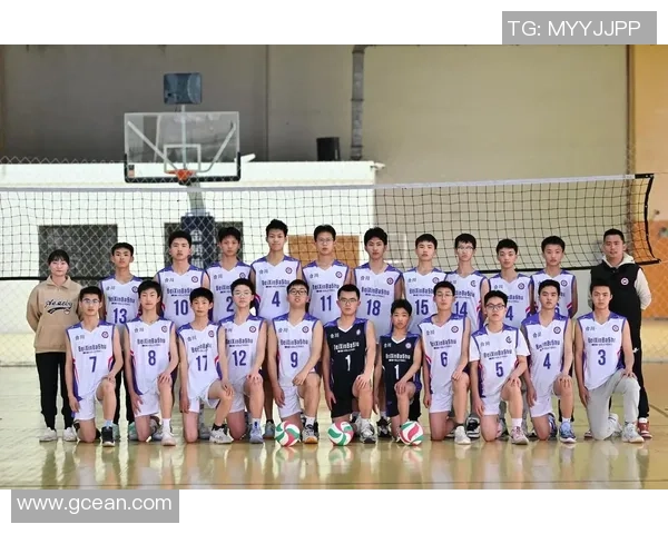 西安排球队的力量变革引发热议排球界新风潮与未来展望