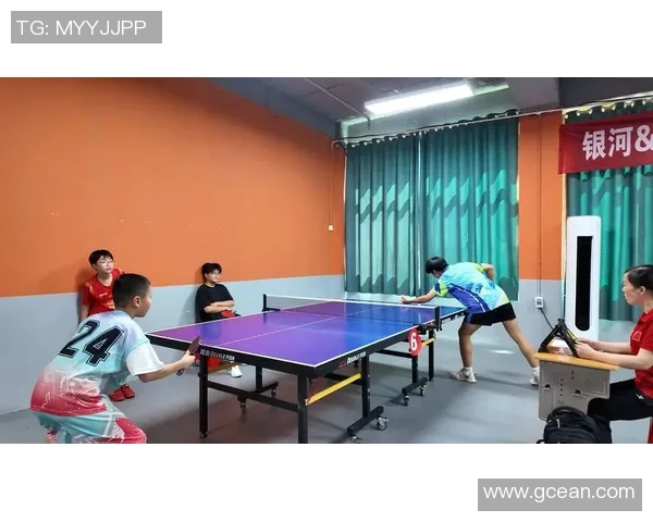 赛后分析：深圳乒乓球队与杭州乒乓球队灵活性对比及战术探讨