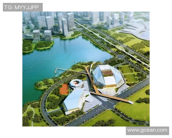 武汉足球队技术分析：联赛表现的优劣与未来发展潜力探讨